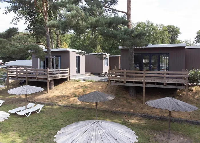 Recreatiepark Maas En Bos Camping